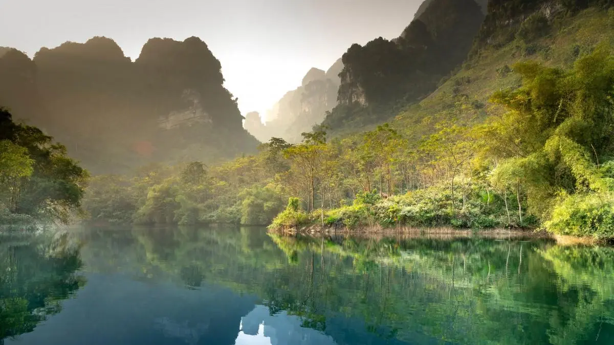 高性能高质量